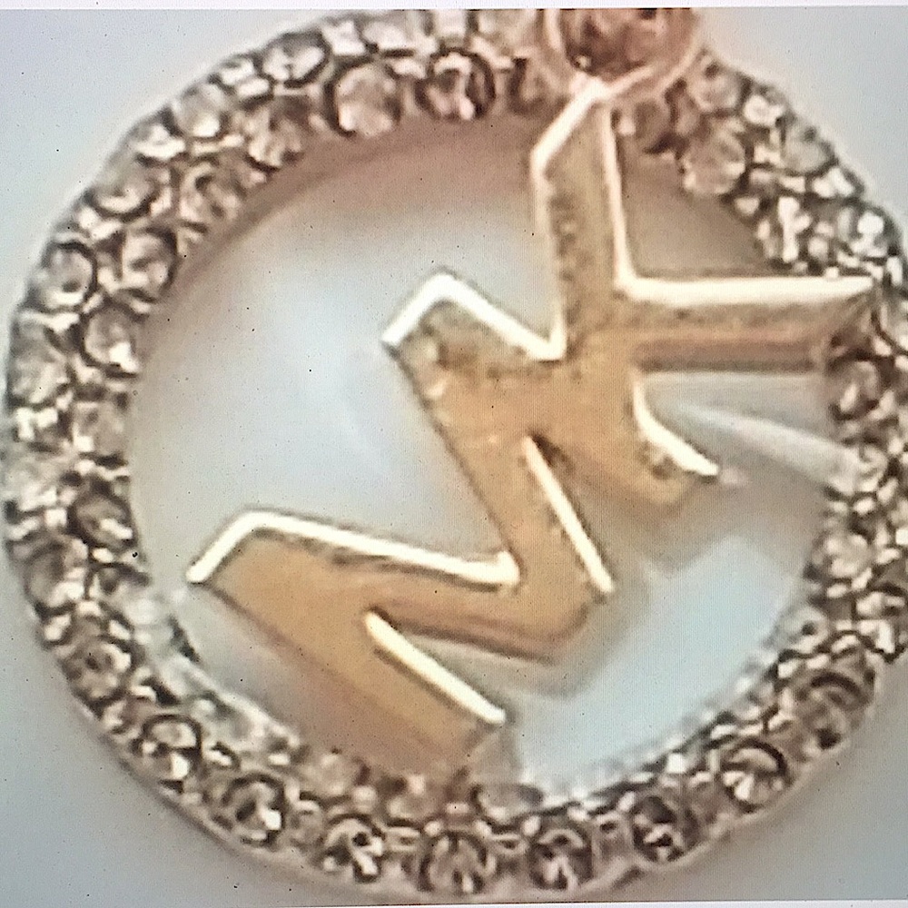 MICHAEL KORS - ROSE GOLD MK LOGO PENDANT NECKLACE - Picture 4 of 12